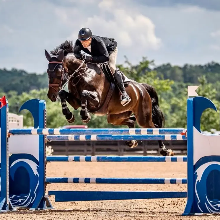 USHJA 2025 HOTY award for KS Sporthorses horses