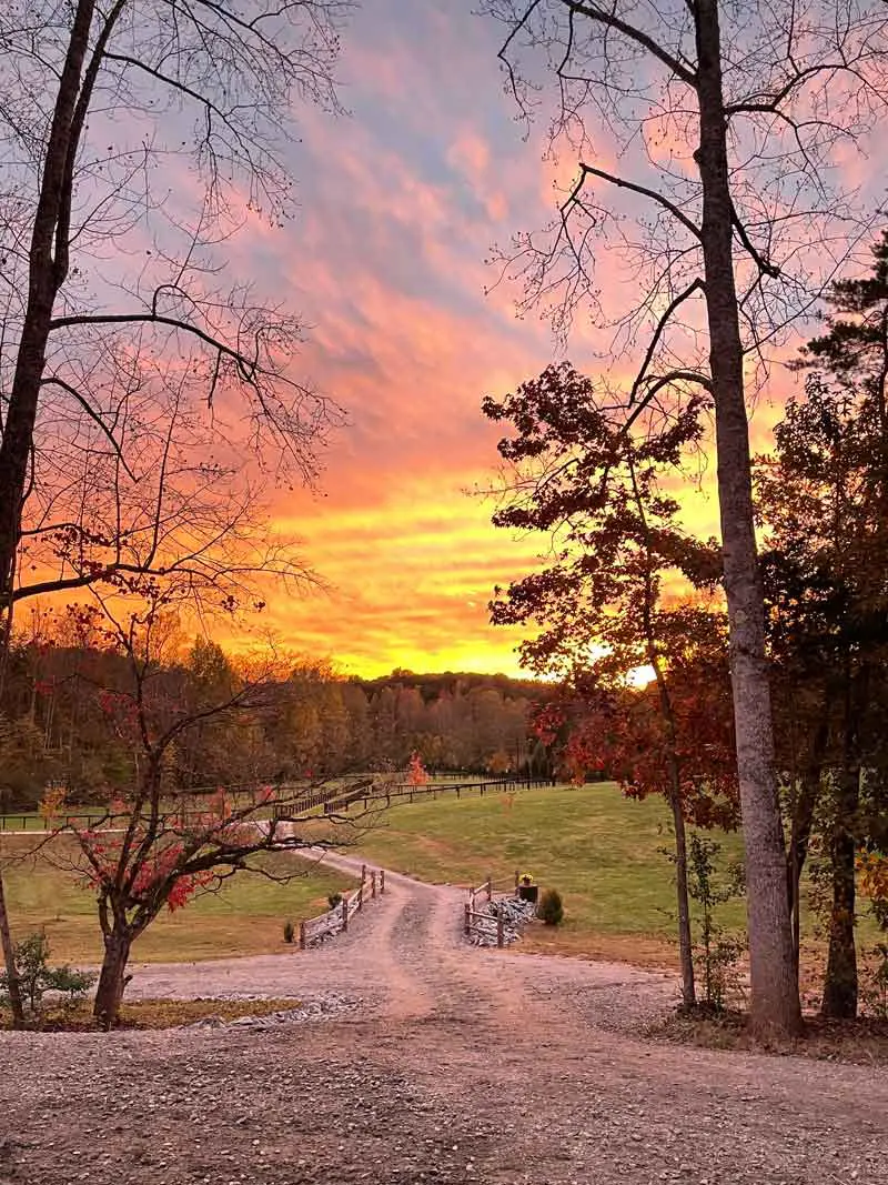 Overlook Farm, KS Sporthorses, LLC