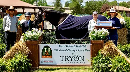 KS Sporthorses Services