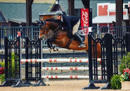 Batendro, KS Sporthorses, LLC