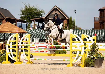 Cludy, KS Sporthorses, LLC