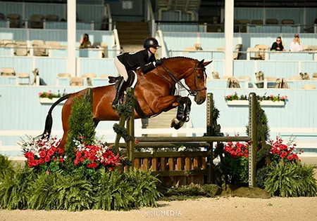 Constellation Rio Z, KS Sporthorses, LLC