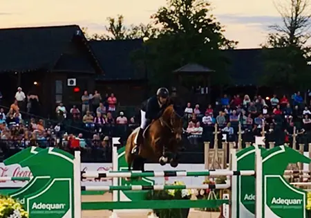 Dirty Harry, KS Sporthorses, LLC