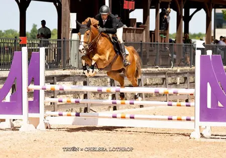 Etre RD Semillant, KS Sporthorses, LLC