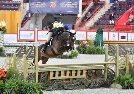 Insightful, KS Sporthorses, LLC