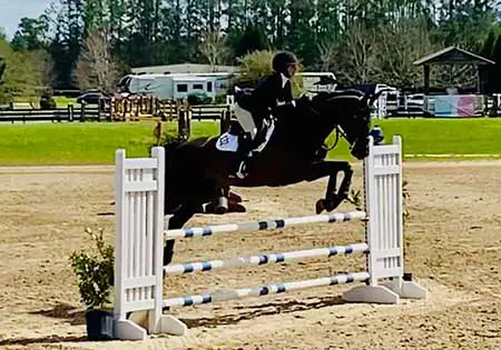 Invictus, KS Sporthorses, LLC
