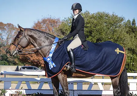 Ivano S, KS Sporthorses, LLC