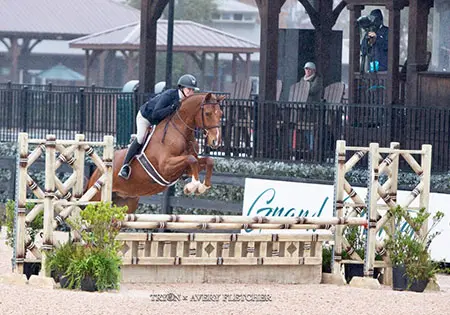 Just Right, KS Sporthorses, LLC