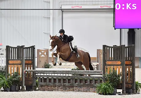 KS Aloha, KS Sporthorses, LLC