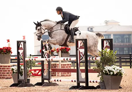 KS Caspian, KS Sporthorses, LLC