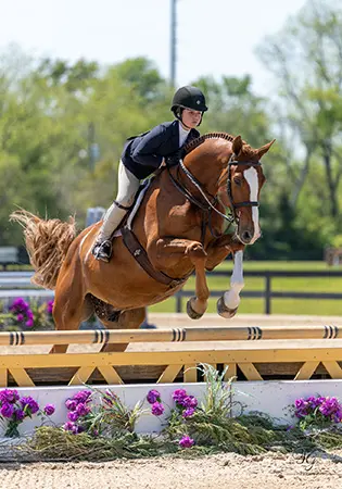 KS Thelwell, KS Sporthorses, LLC