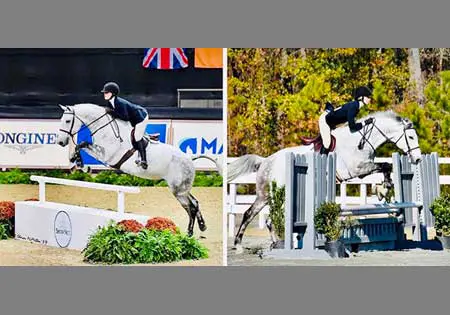 Quintino River Z, KS Sporthorses, LLC