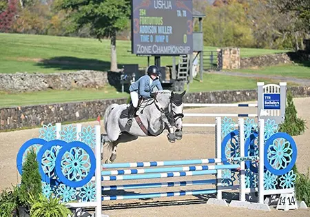 Ringsgaards Felix, KS Sporthorses, LLC