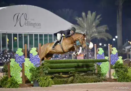SVF On My Own, KS Sporthorses, LLC
