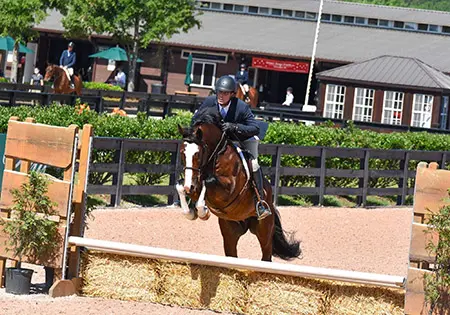 Socialite, KS Sporthorses, LLC
