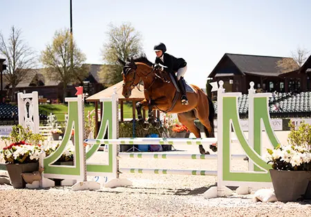 Stanley Van De Klunderd, KS Sporthorses, LLC