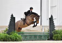 KS Cantosy, KS Sporthorses, LLC