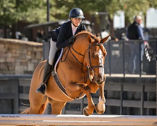 KS Sporthorses services and training
